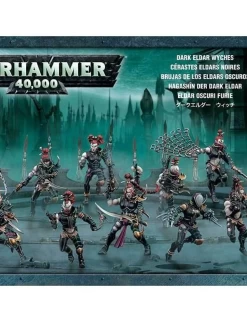 Games Workshop Drukhari: Wyches